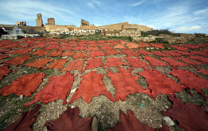 Traditional tannery in morocco